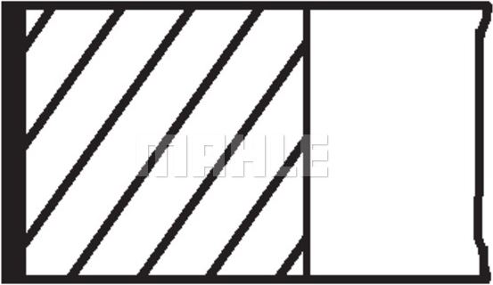 SEGMAN (STD)(68.68MM) FORD FIESTA III 1.1 89-03