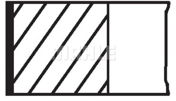 SEGMAN (STD)(82.00MM) FIAT DOBLO 1.9D-JTD ( 00981R0