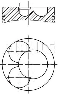 PİSTON,SEGMAN (STD)(81.01MM) BMM, BMP, BPW, BSS,