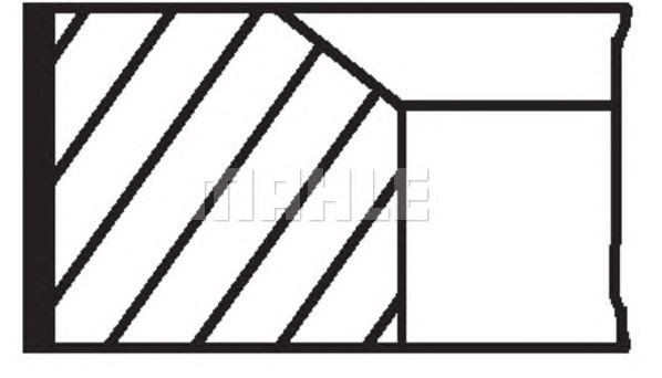 SEGMAN (STD)(80.00MM) RENAULT KANGO 1.9D F9Q,MEGANE,LAGUNA,TRAFICII