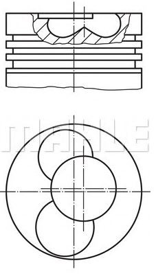 PİSTON,SEGMAN (STD)(79.51MM) 1,9TDİ AFN 3,4