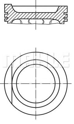 PİSTON,SEGMAN (+0.50)(81.01MM) 2 / 2.5 AAC-AAF-AEU