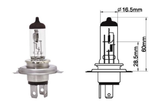 AMPUL 12V. HS1 35/36 (MOTOSİKLET)