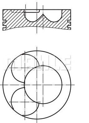 PİSTON,SEGMAN (STD)(81.01MM) BMM,BMP, BPW, BSS,