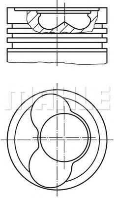 PİSTON,SEGMAN (+0.50)(81.01MM) VW-T4 2.5 LT 35 1.2 81,50