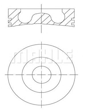 PİSTON,SEGMAN (STD)(81.00MM) 2.0TDI-BKP-BKD-BMA-BKP-BKD-BMA