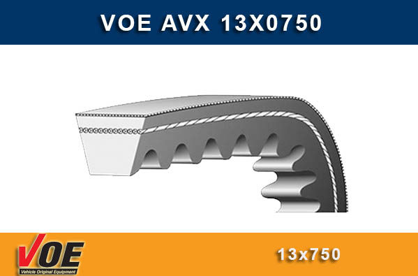 V KAYIŞ (13X750)(DİREKSİYON) HUYUNDAI H100 / MITSUBISHI L300