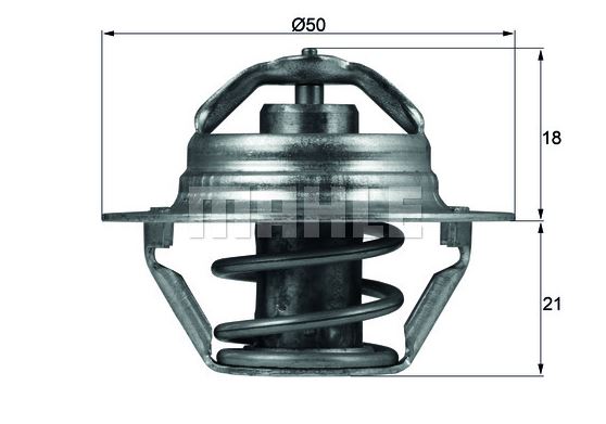 (+)TERMOSTAT (89°C) RENAULT MEGANE-LAGUNA-LOGAN-KANGOO