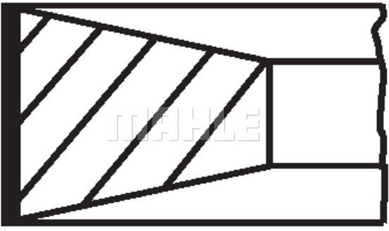 SEGMAN (+1.00)(76.00MM) PEUGEOT 206 306 CITROEN C2 C3 FORD FOCUS 1.6 DV6