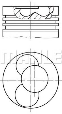 PİSTON,SEGMAN (+0.50)(79.51MM) VW-POLO 1.4 TDI AMF 3.