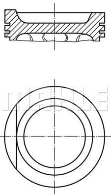 PİSTON,SEGMAN (STD)(81.01MM) 2 / 2.5 AAC-AAF-AEU